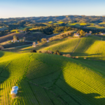 northern california wine