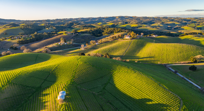 northern california wine